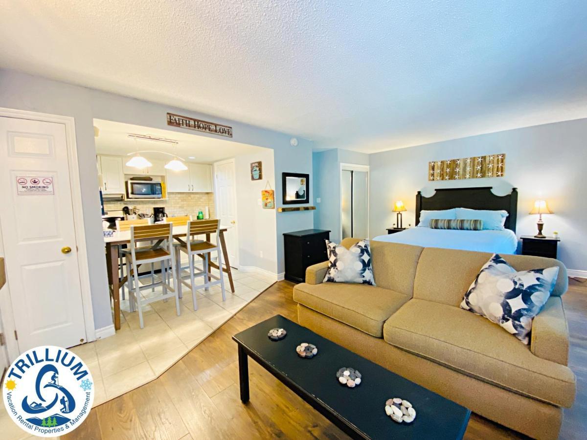 Slopeside Blue Mountain Condo - Wifi, Linens/Towels, Ski In/Out Blue Mountains Buitenkant foto